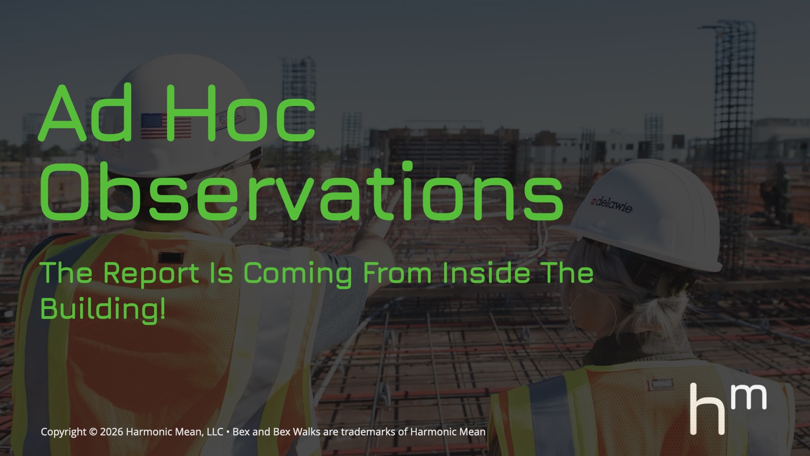 Ad Hoc & Looseleaf Observations